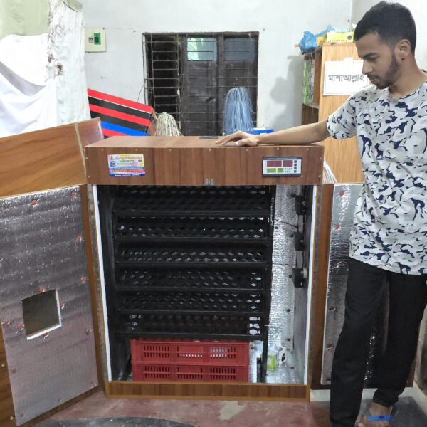 ৮০০ ডিমের অটো ইনকিউবেটর ৬০০ স্যাটার ২০০ হ্যাচার মেলামাইন বোর্ড ৩ লেয়ার বডি