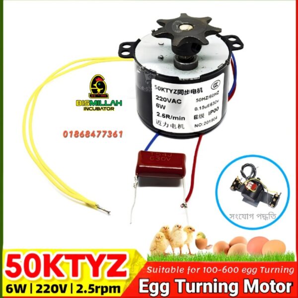 6W Egg Turning Motor 50KTYZ AC Motor 220V CW/ CCW 2.5rpm Mini Synchronous Motor 6W with Gear for Automatic Incubator