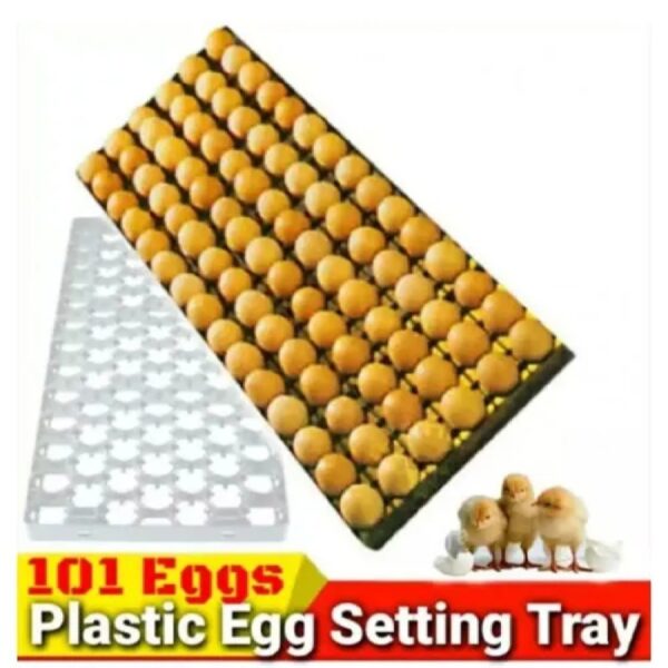১০১ ডিমের ইনকিউবেটর ট্রে হস মুরগির 101 setter try for egg incubator