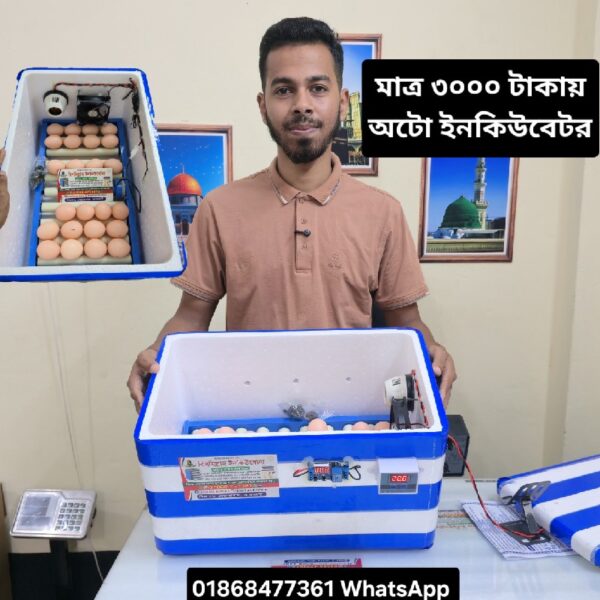 ৩৬ ডিমের রোলার সিস্টেম অটো ইনকিউবেটর। সুধু মাত্র এসি